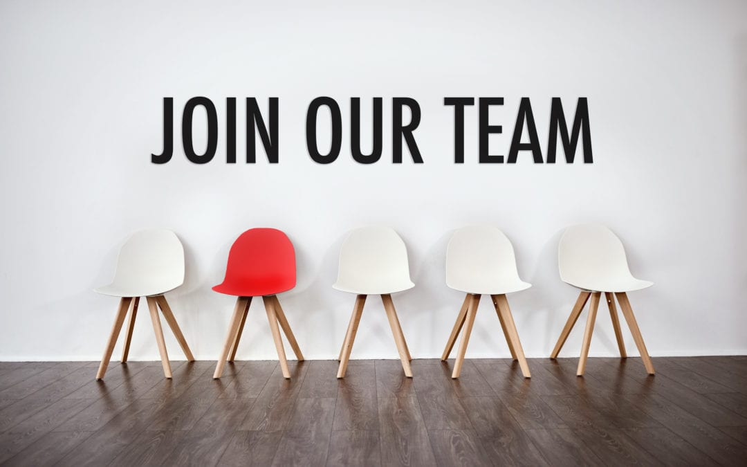 Senior Architectural Technologist/Project Manager (Job Runner):